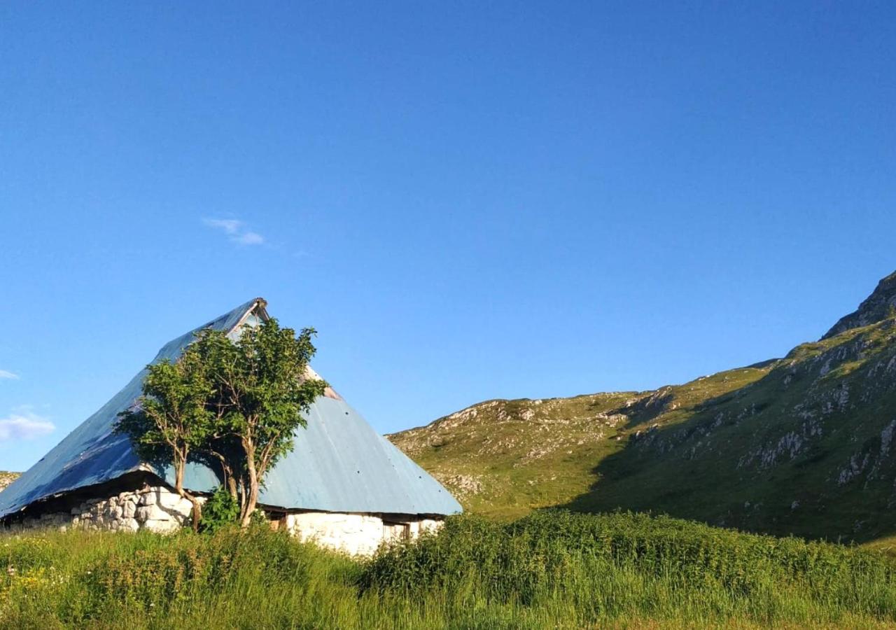 Апартаменты Katun Kuline Колашин Экстерьер фото