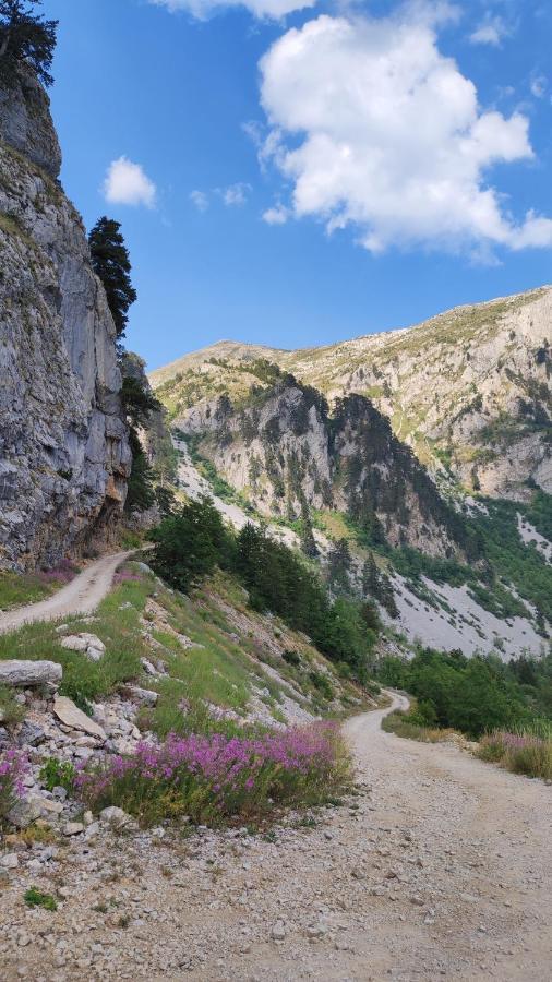 Апартаменты Katun Kuline Колашин Экстерьер фото