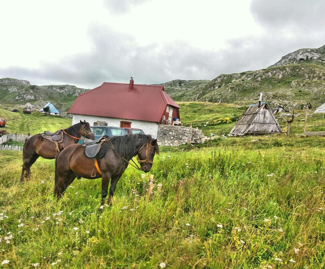 Апартаменты Katun Kuline Колашин Экстерьер фото